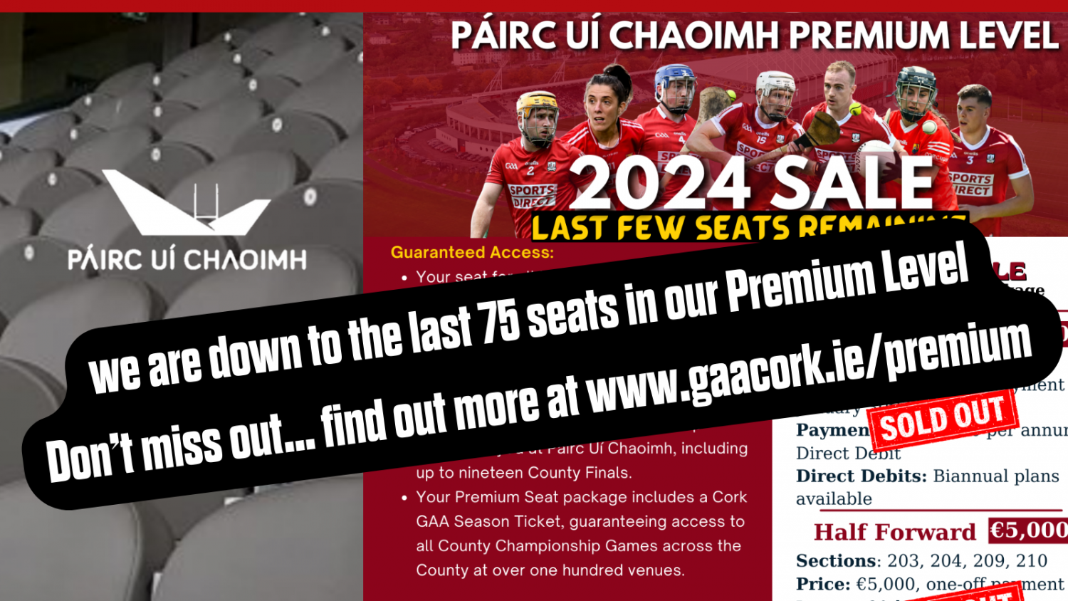 Down to last 75 seats in Premium Level Cork GAA