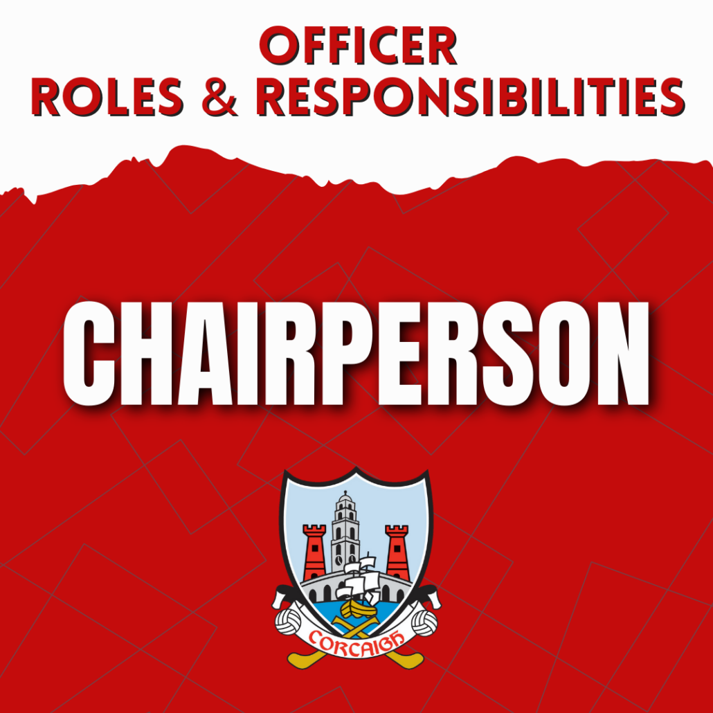 Roles and Responsibilitys Chairperson