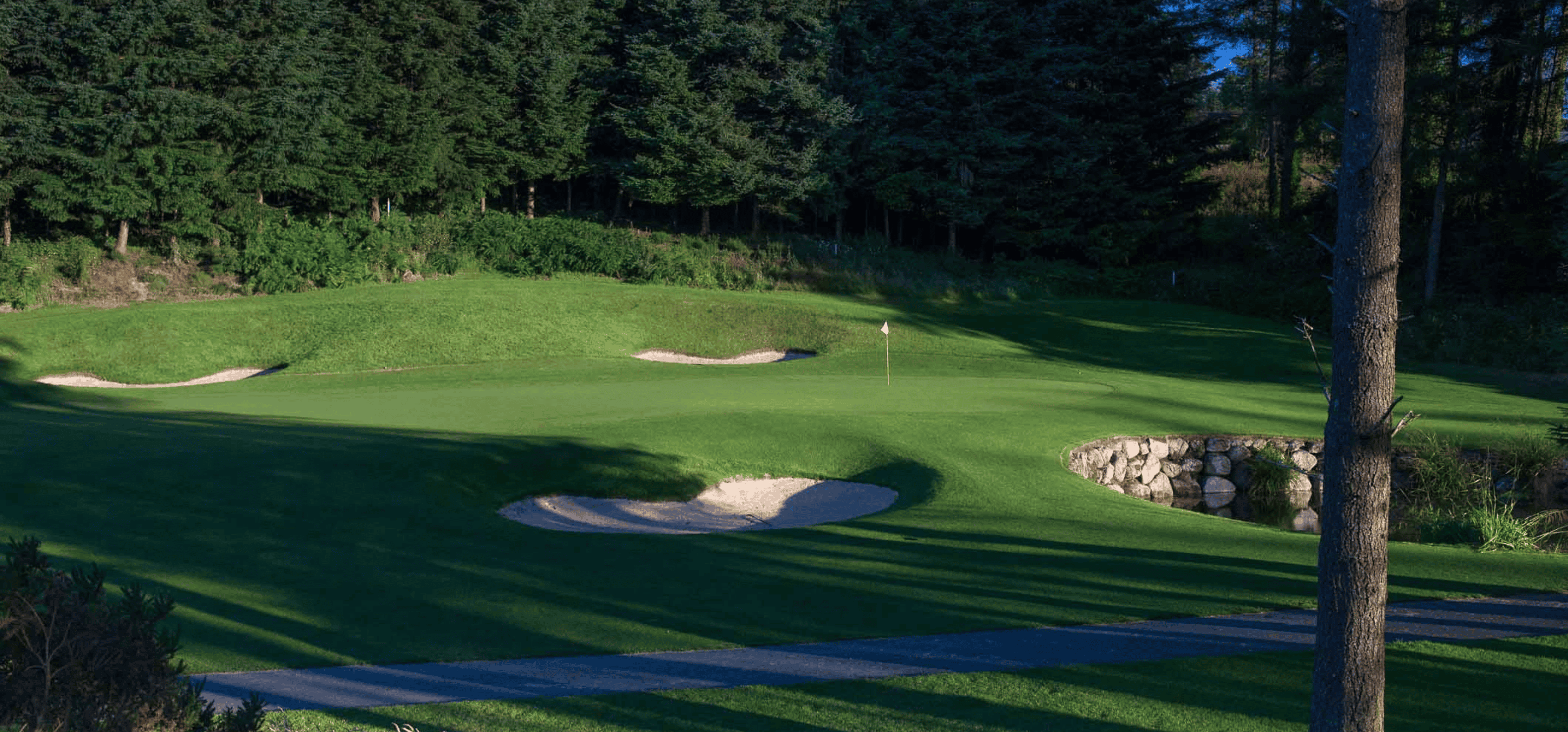 Powerscourt Golf Club, 27th August 2026