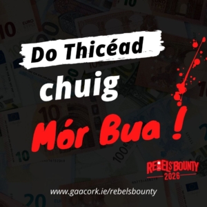 Rebels Bounty Assests in Irish (1)