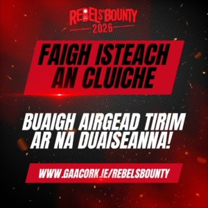 Rebels Bounty Assests in Irish (2)