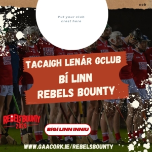 Rebels Bounty Assests in Irish (3)