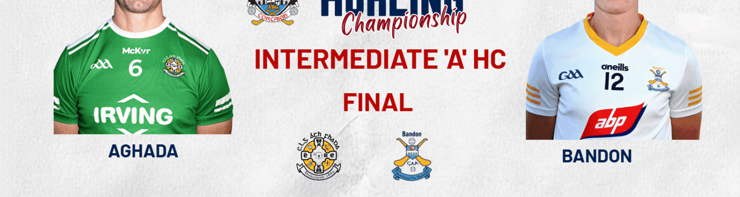 Co-Op Superstores Intermediate A Hurling Championship Final